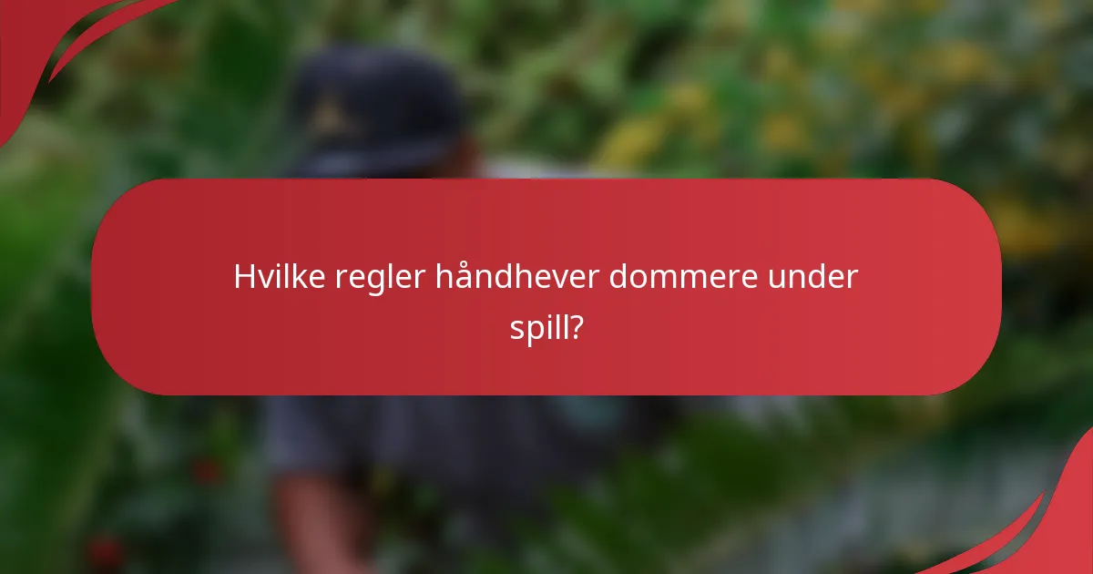 Hvilke regler håndhever dommere under spill?