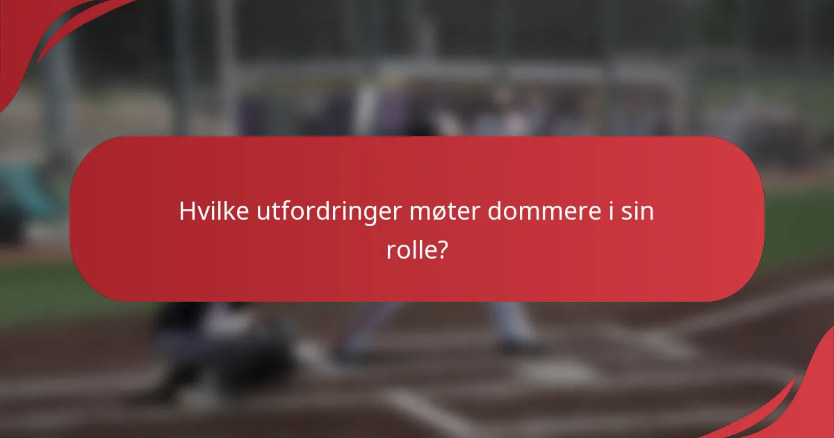 Hvilke utfordringer møter dommere i sin rolle?
